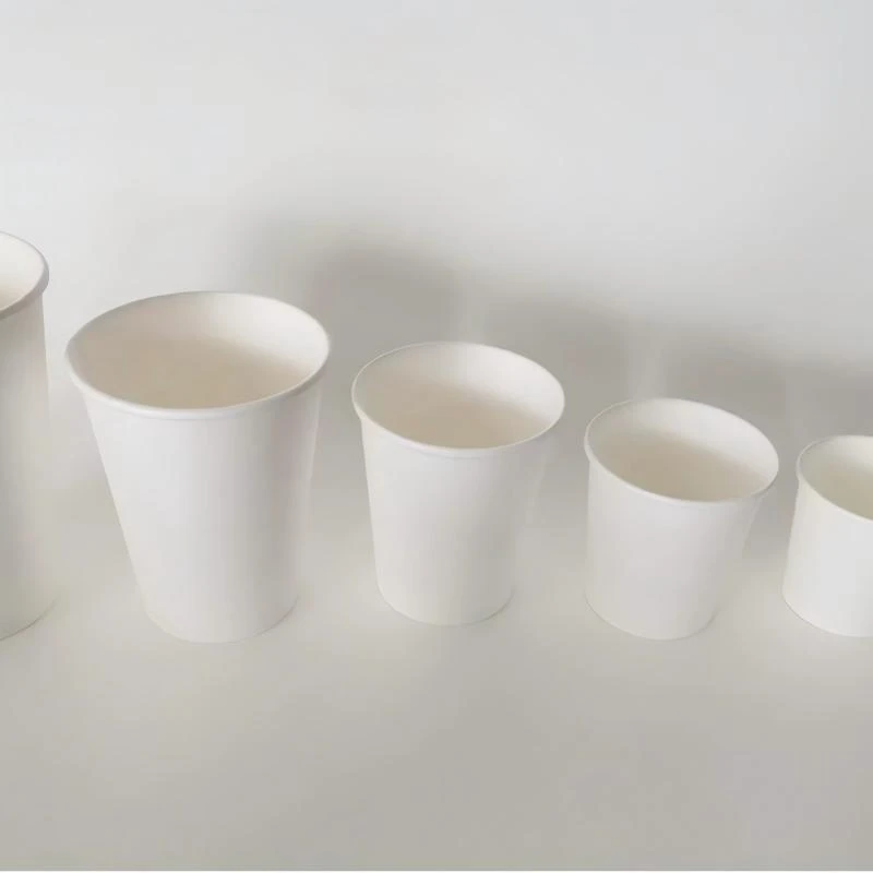 Printed Disposable Coffee Cup Printed Disposable Coffee Cup